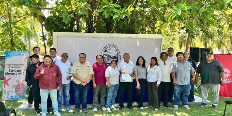 Arranca la temporada de anidación de tortugas marinas; piden cuidar los nidos