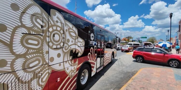 “Lady Ko’ox”: mujer agrede a adulta mayor por asiento preferente en transporte
