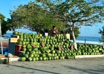Entre calor y mar, la sandía activa ventas y refresca a visitantes en Campeche