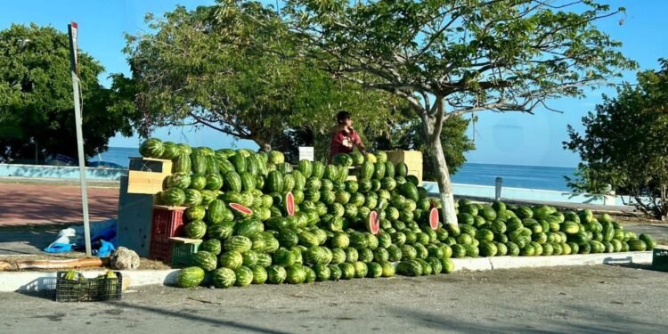 Entre calor y mar, la sandía activa ventas y refresca a visitantes en Campeche