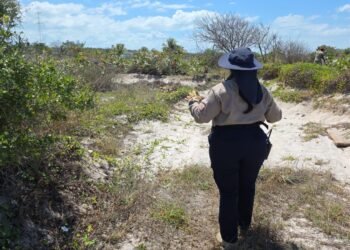 Búsqueda de desaparecidos se refuerza con operativos y apoyo a colectivos