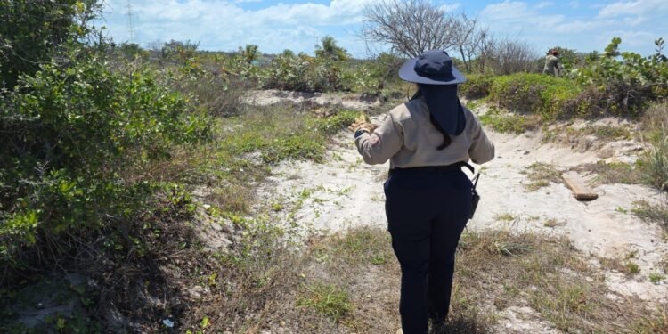 Búsqueda de desaparecidos se refuerza con operativos y apoyo a colectivos