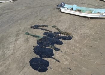 Operativos por hidrocarburo en el Golfo avanzan con limpieza y respaldo a comunidades