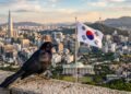 ¿Un zanate en Corea del Sur? La historia del ave “mexicana” que sorprendió en Asia