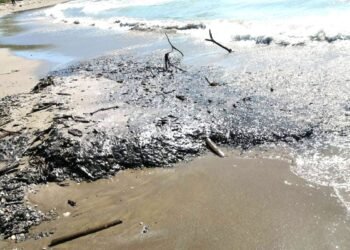 Organizaciones advierten riesgo directo al Corredor Arrecifal por derrame petrolero