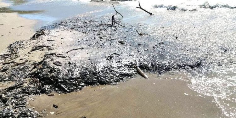 Organizaciones advierten riesgo directo al Corredor Arrecifal por derrame petrolero