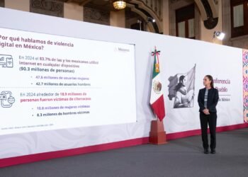 México impulsa alianza con redes sociales para proteger a mujeres del ciberacoso