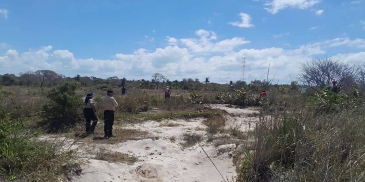 Comisión de Búsqueda localiza al 90% de personas reportadas como desaparecidas