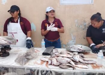 “Cuaresma de Todos”: apoyo directo para familias y respaldo al sector pesquero