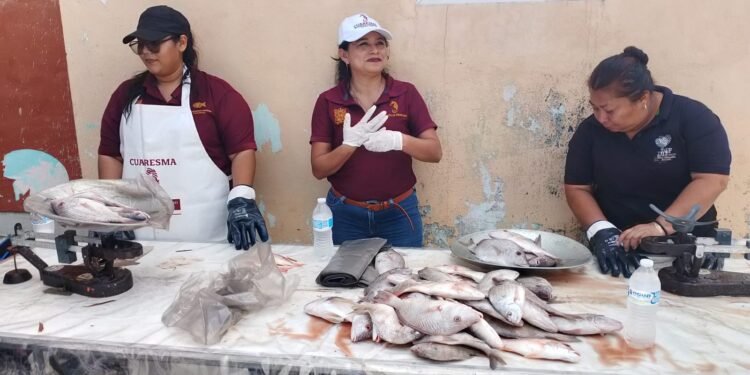 “Cuaresma de Todos”: apoyo directo para familias y respaldo al sector pesquero