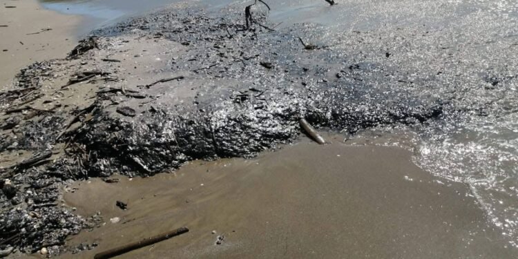 Derrame en el Golfo: organizaciones acusan opacidad y respuesta tardía