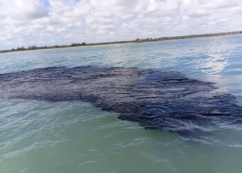 Derrame petrolero llega a costas de Campeche, chapopote invade playas de Carmen y Champotón