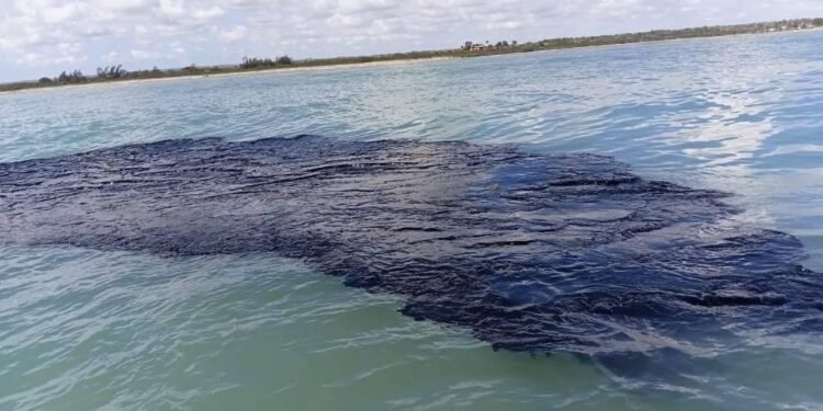 Derrame petrolero llega a costas de Campeche, chapopote invade playas de Carmen y Champotón