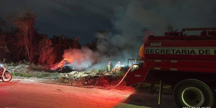 Incendio en predio baldío desató alarma en zona habitacional, ¿en dónde sucedió?