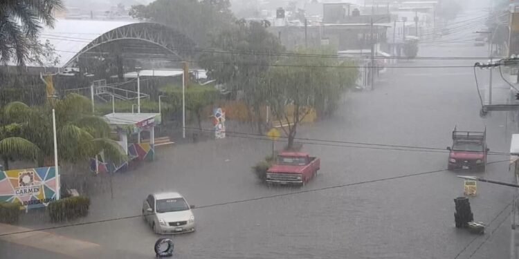 Protección Civil reporta saldo blanco tras paso del frente frío 41