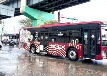 Lluvias y fuertes vientos tiran árbol y poste en barrio Santa Ana y colonia Bellavista