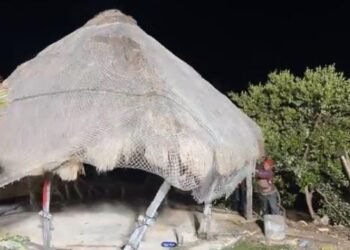 Retiran estructuras irregulares en operativo nocturno en el malecón