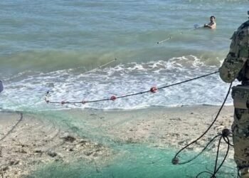 Caen redes ilegales en Carmen: decomisan producto y vehículo