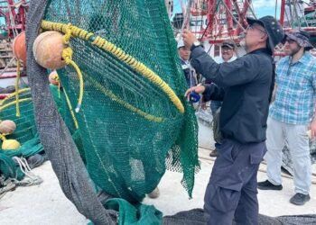 Inspección internacional llega a Campeche y respalda la pesca mexicana ante EU
