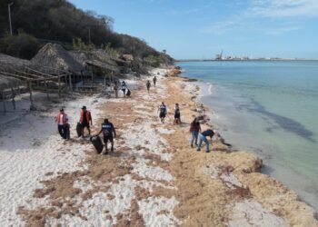 Playas limpias, turismo fuerte: refuerzan limpieza para proteger ecosistemas