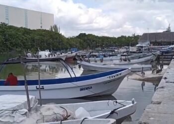 ¿Eres pescador? Ya inició la renovación de tarjetas del programa Bienpesca