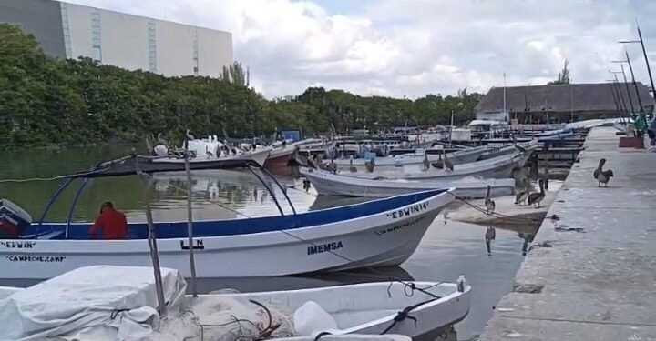¿Eres pescador? Ya inició la renovación de tarjetas del programa Bienpesca