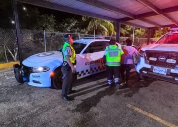 Evitan tragedia en la 180D: Guardia Nacional pone a salvo a mujer de 60 años