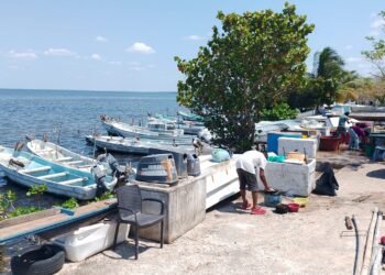 Mil pescadores fueron afectados por el retiro de estructuras del malecón