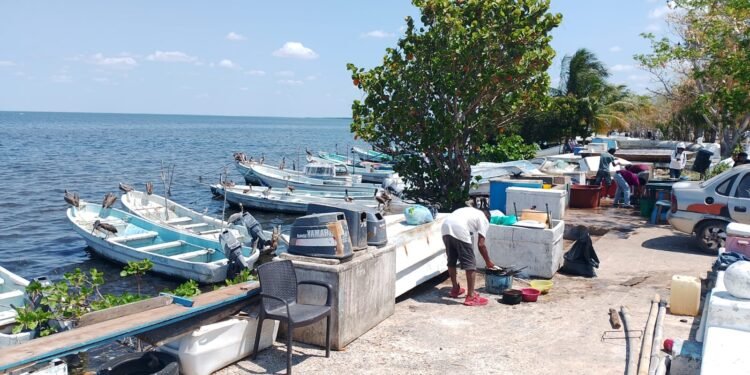 Mil pescadores fueron afectados por el retiro de estructuras del malecón