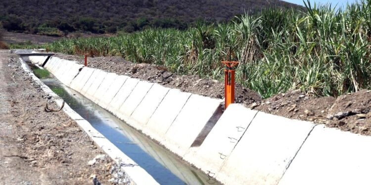 Conagua llama a productores a regularizar concesiones de agua para recibir beneficios