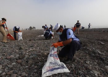 Atienden 39 playas del Golfo de México tras contingencia por hidrocarburos