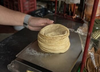 ¡Ojo con el precio de la tortilla! Esto es lo que Profeco dice de la venta del producto