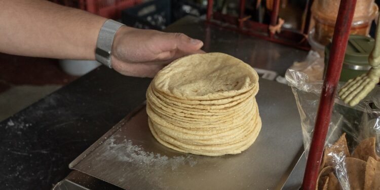 ¡Ojo con el precio de la tortilla! Esto es lo que Profeco dice de la venta del producto