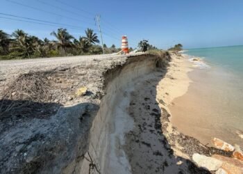 El mar devora carretera; esto sabemos del estado de la vía Playa Sabancuy-La Playita