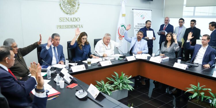 Agroexportación con derechos: Senado aprueba esquema laboral para el campo