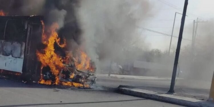 Tamaulipecos aguantan embate de sicarios por captura de líder del Cártel del Golfo