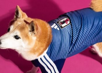 El Mundial se vive hasta con correa: lomitos entran a la fiebre futbolera