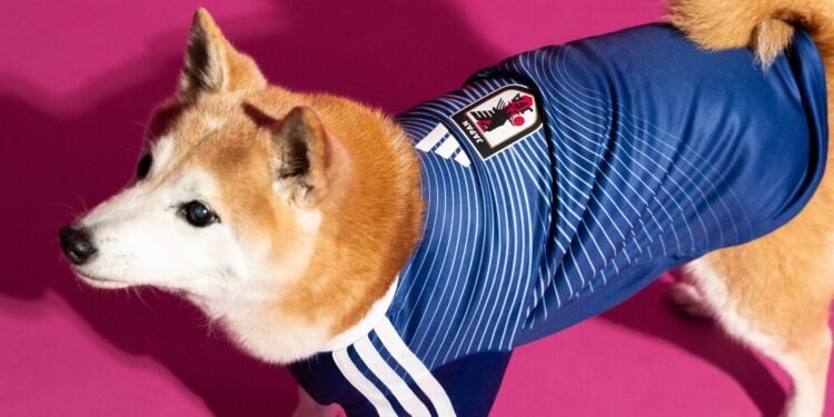 El Mundial se vive hasta con correa: lomitos entran a la fiebre futbolera