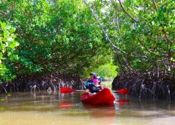 Más clics, más turistas; Pueblos Mágicos dan el salto a lo digital