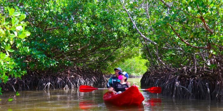 Más clics, más turistas; Pueblos Mágicos dan el salto a lo digital
