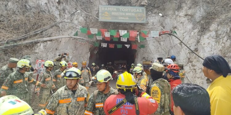 Sobrevive bajo tierra: rescatan a minero tras 14 días en mina de Sinaloa