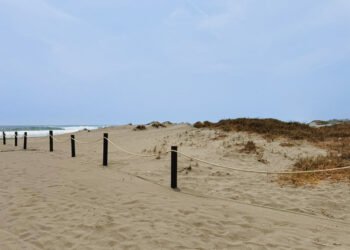 ¿Por qué están cercando las dunas en Chiapas? Está es la razón