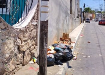 Santa Lucía se cansa de la basura; exigen orden a comercios y habitantes