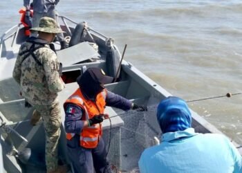 Semar decomisa 1.4 toneladas de producto pesquero ilegal en Campeche