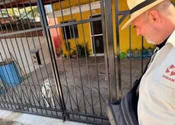 Atienden denuncia por perrita con lesiones; Fiscalía investiga posible maltrato