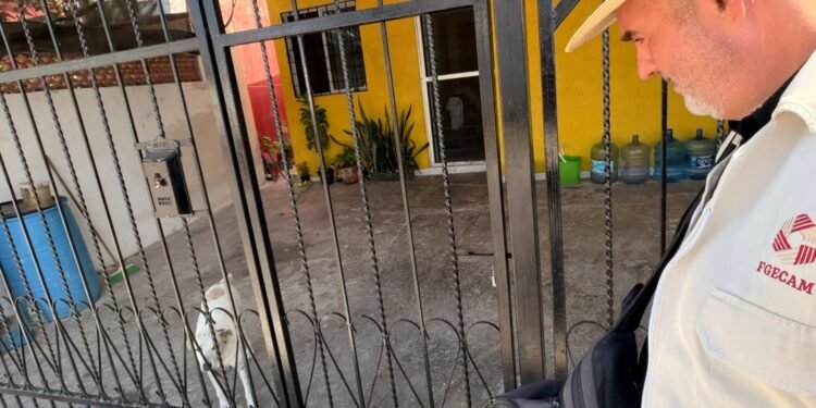Atienden denuncia por perrita con lesiones; Fiscalía investiga posible maltrato