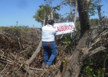 Campeche, clave en operativo ambiental nacional que deja clausuras y aseguramientos