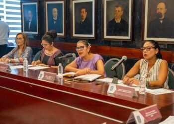 Alza de suicidios en Campeche activa plan interinstitucional de salud mental