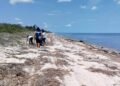 Champotón se activa y limpia Punta Xen para proteger a las tortugas