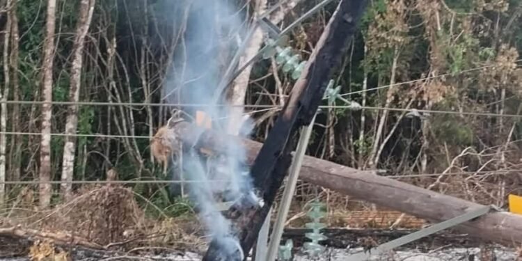 Fuego desata apagones; así dejó a Candelaria sin electricidad